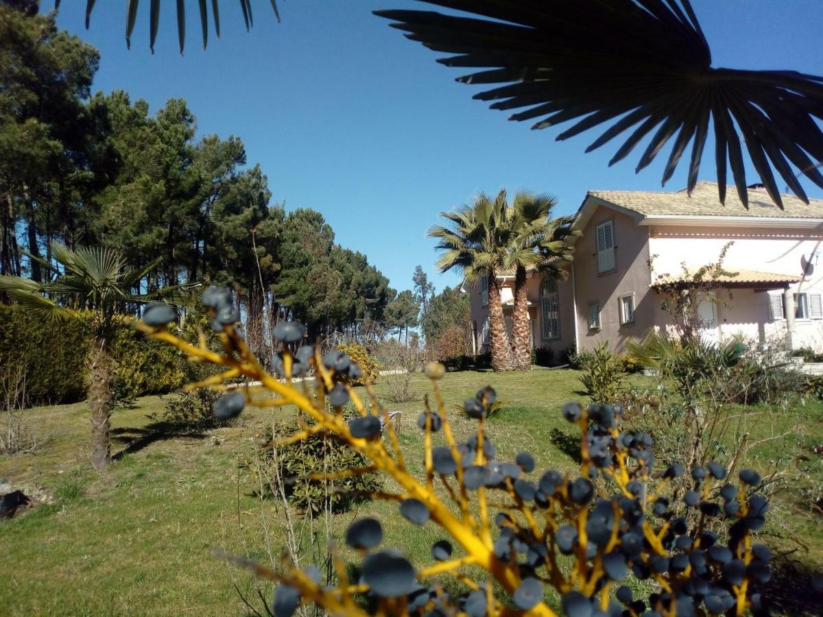 Отель Casa Do Soito Мангуалди Экстерьер фото